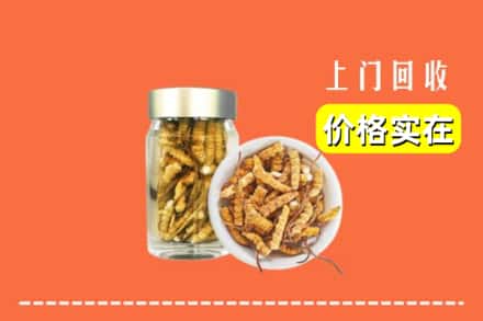 兰州永登县回收散虫草