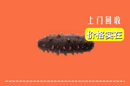 兰州永登县回收海参