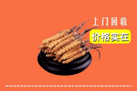兰州永登县回收冬虫夏草