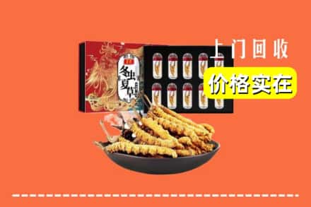 兰州永登县回收虫草